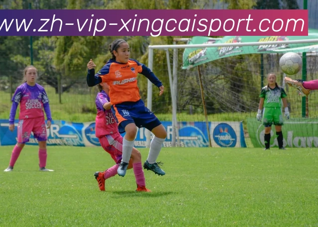 杏彩体育服务体系